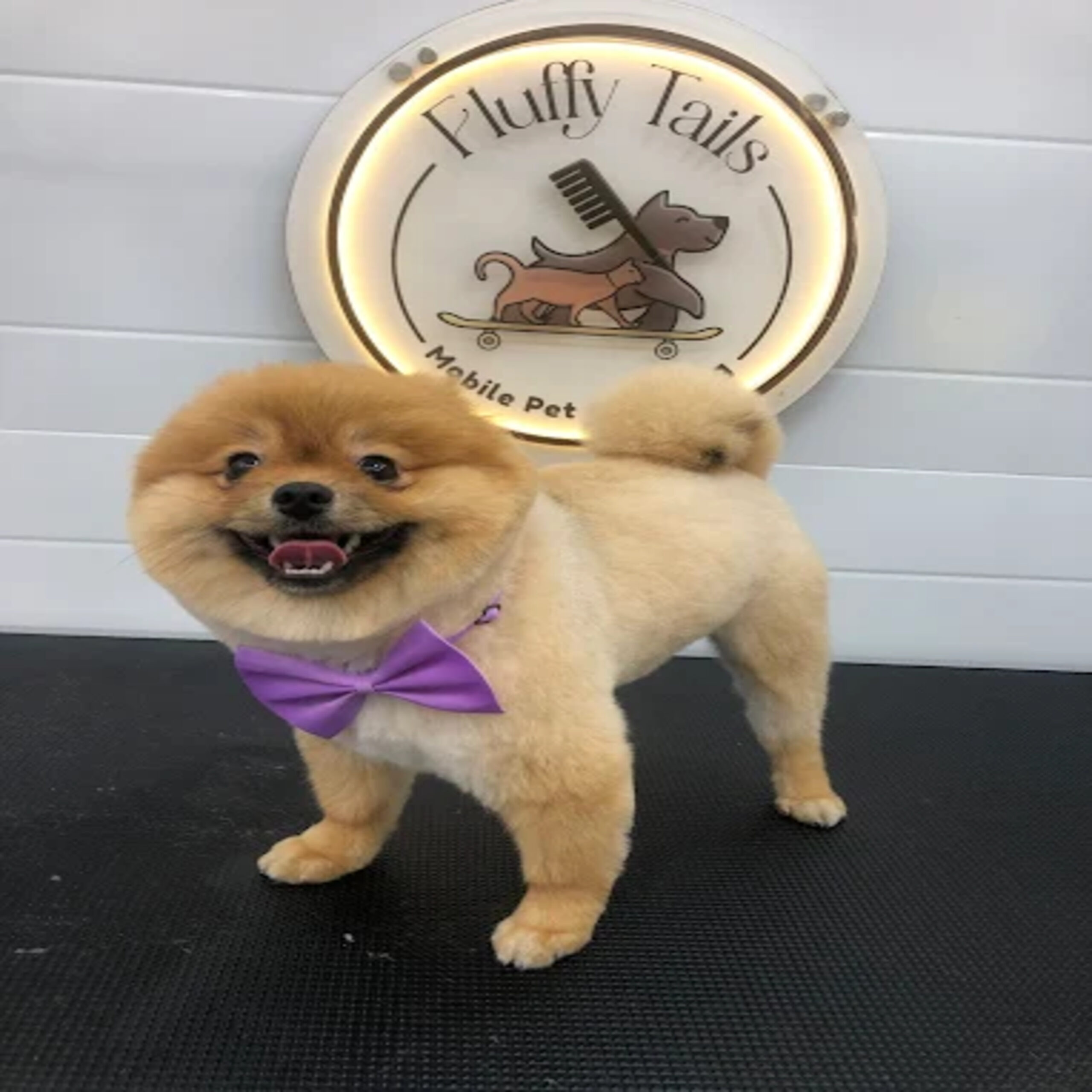 Fluffy Tails – Mobile Pet Grooming Services in Doh