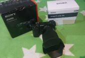 Sony A6400 Body Sony 1650mm Kit Lens SIGMA 16mm f/1.4 Zhiyun Crane Gimbal