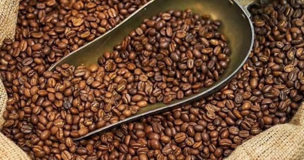 Coffee Green Bean – Arabica Gayo Aceh